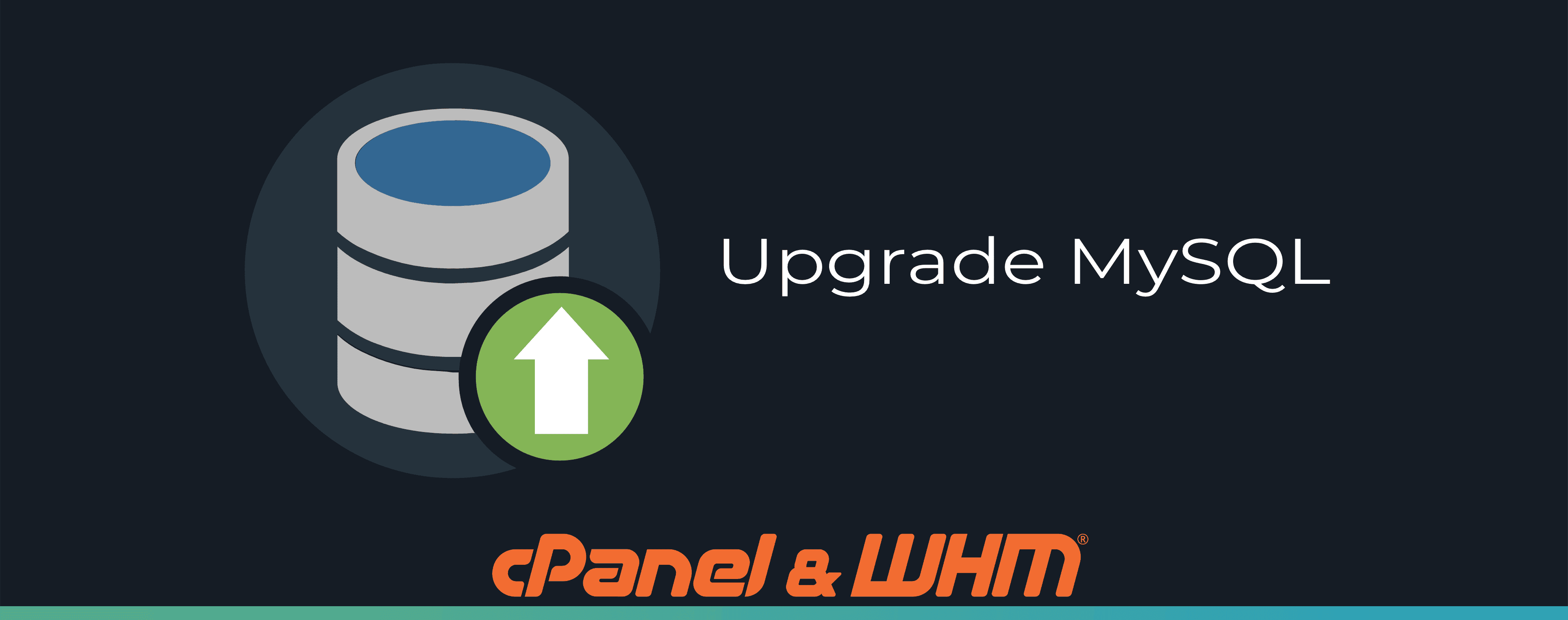 cPanel MySQL5.5